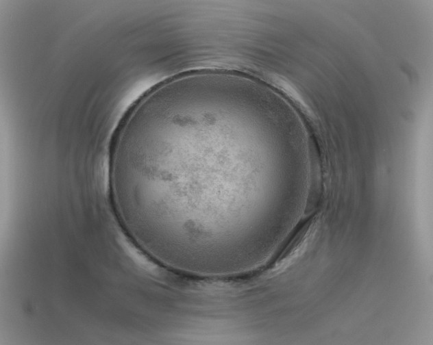 X0000113591079200909181327