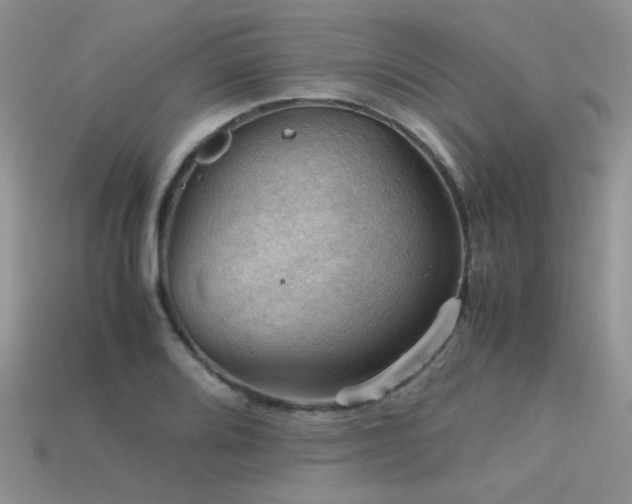 X0000113591080200909181327