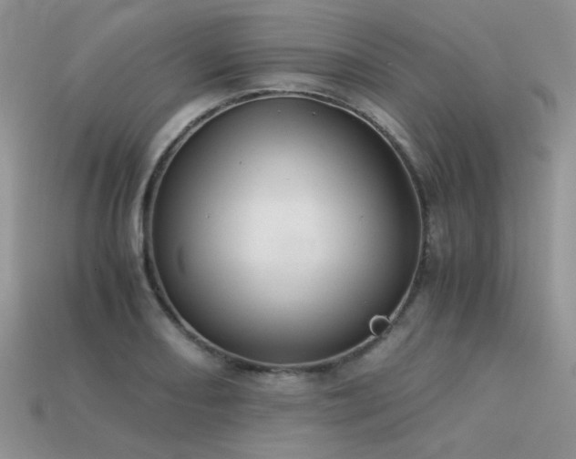 X0000113591082200909181327