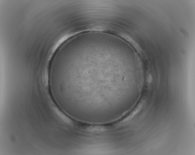 X0000113591083200909181327