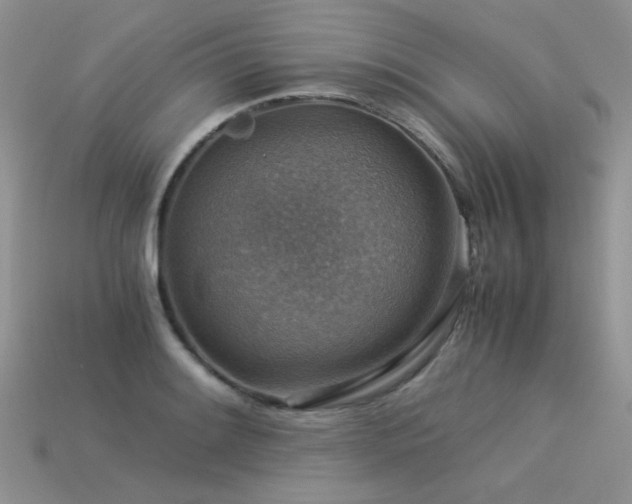 X0000113591084200909181327