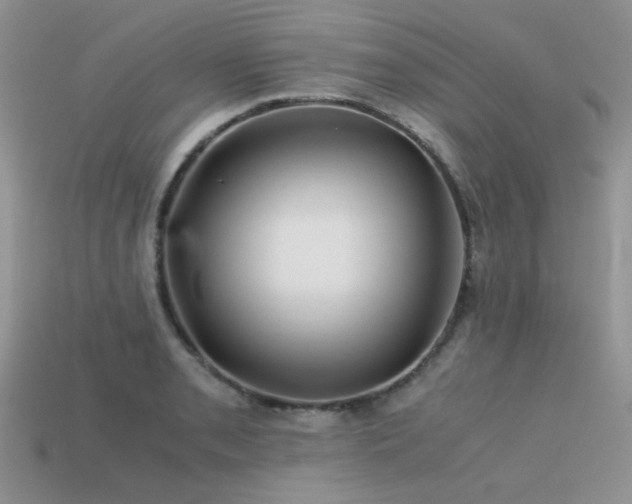 X0000113591085200909181327