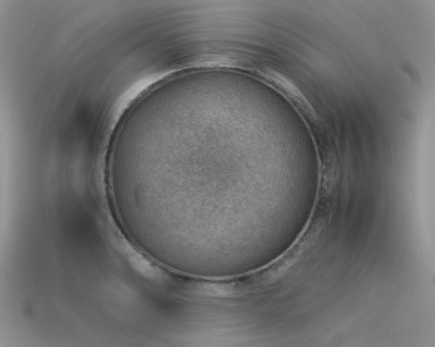 X0000113591086200909181327