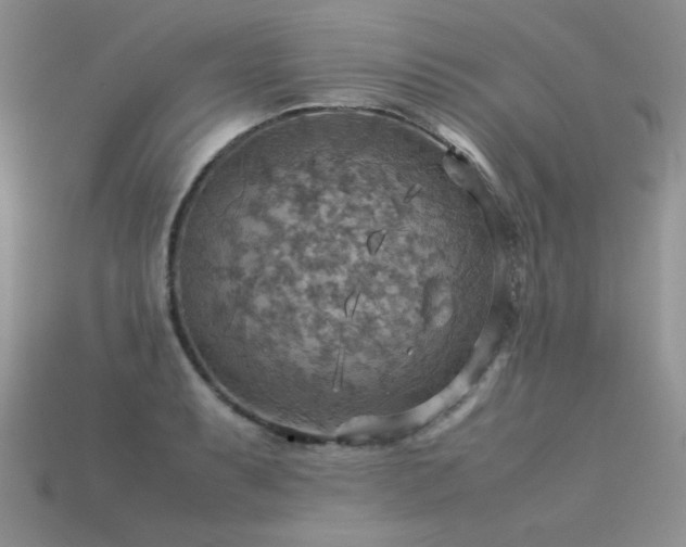 X0000113591087200909181327