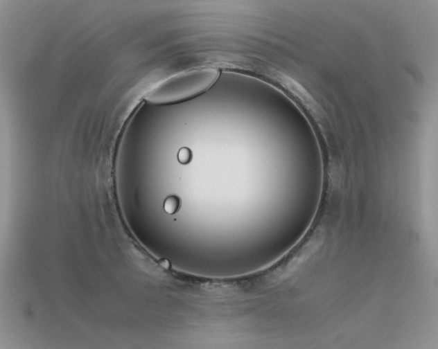 X0000113591089200909181326