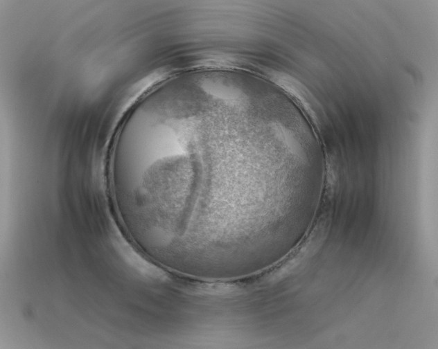 X0000113591090200909181326