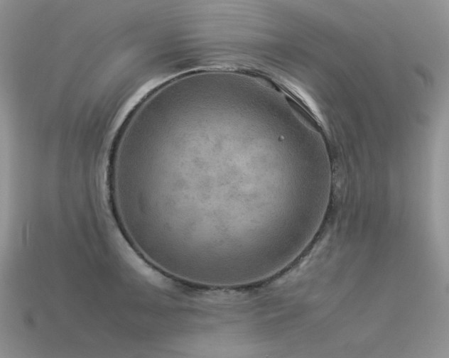 X0000113591091200909181326