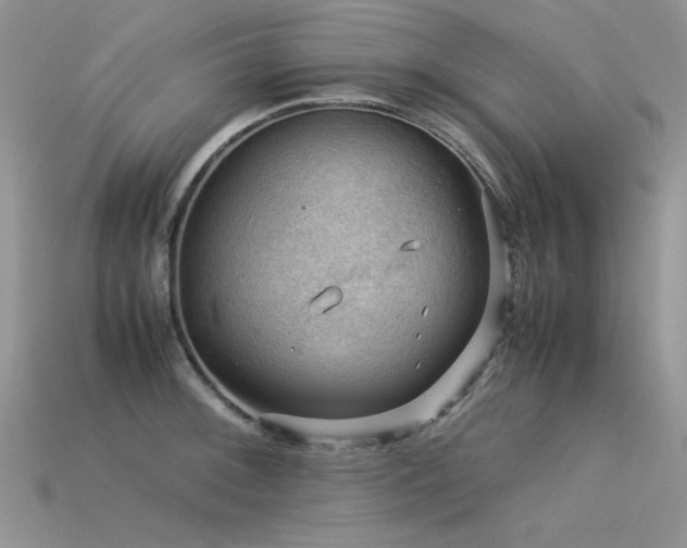 X0000113591092200909181326