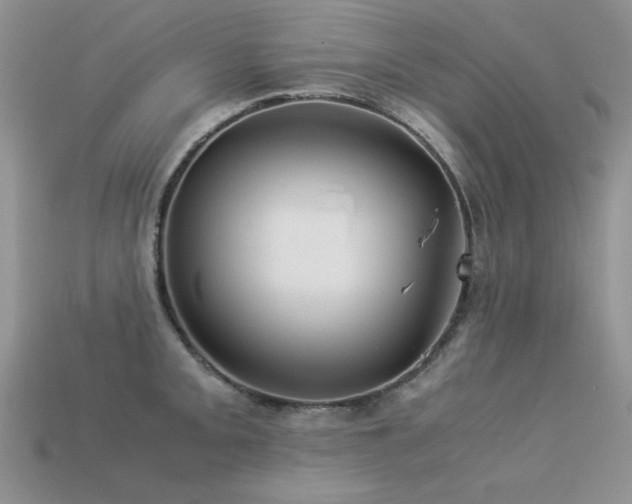 X0000113591093200909181326