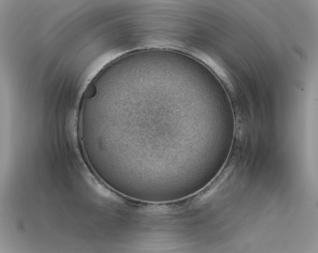 X0000113591094200909181326