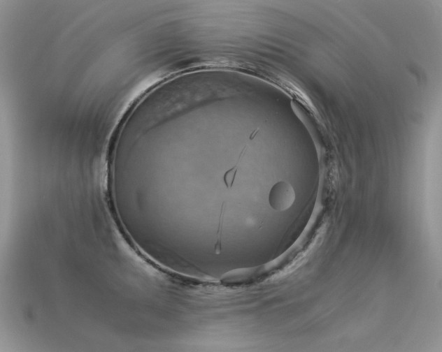 X0000113591095200909181326