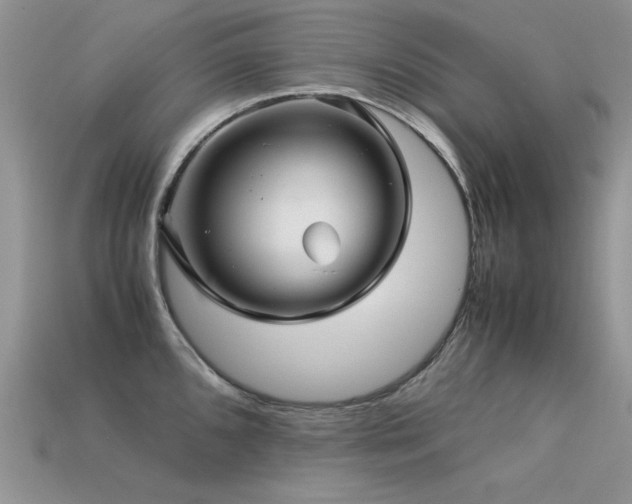 X0000113591096200909181326