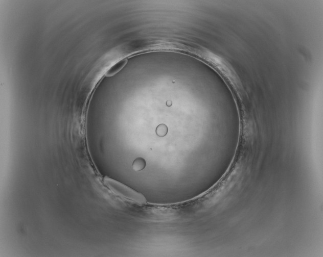 X0000113591097200909181326