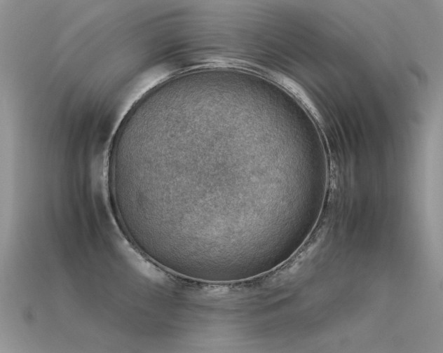 X0000113591098200909181326