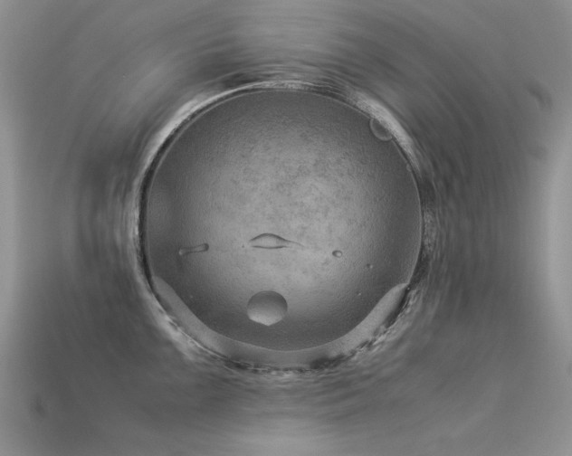 X0000113591099200909181326