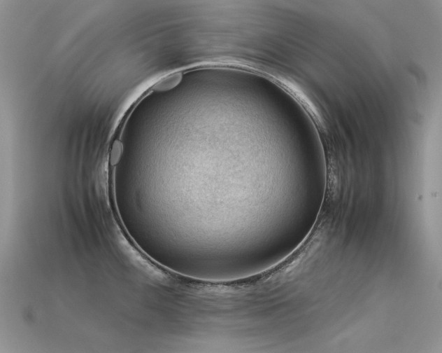 X0000113591100200909181326