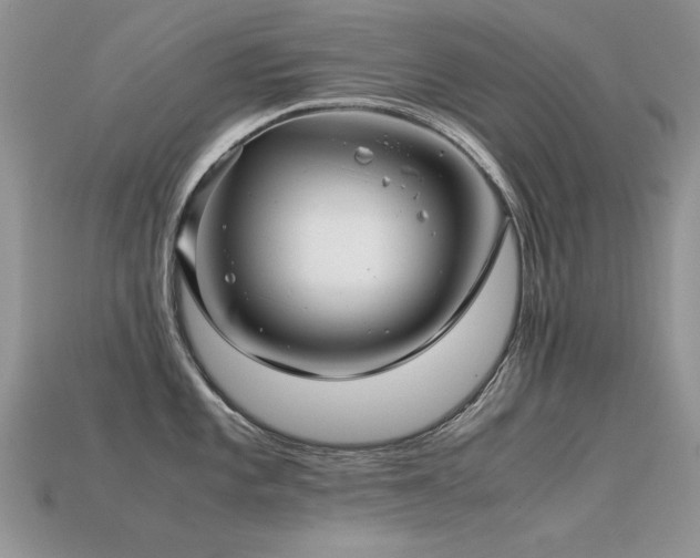 X0000113591101200909181326