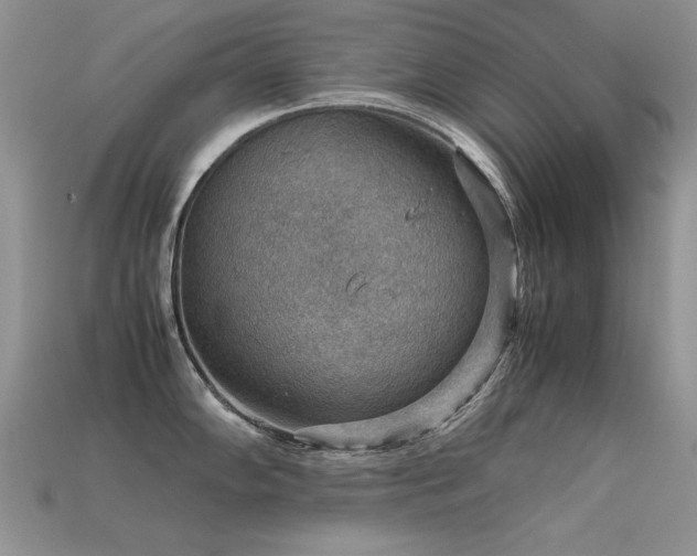 X0000113591102200909181326