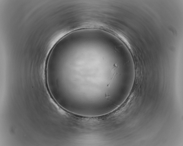 X0000113591103200909181326