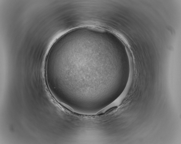 X0000113591104200909181326