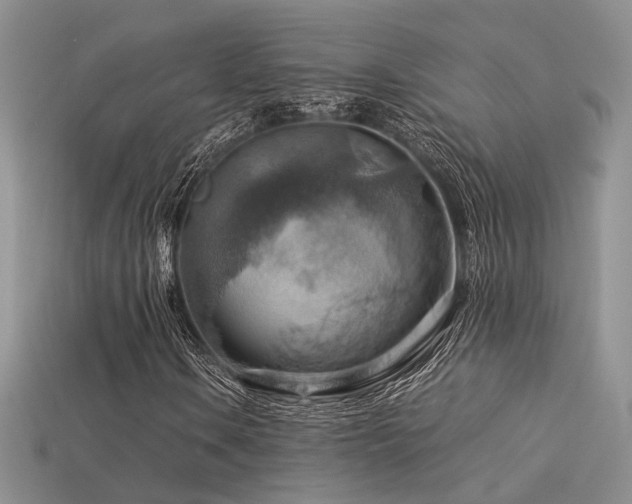 X0000113591106200909181325