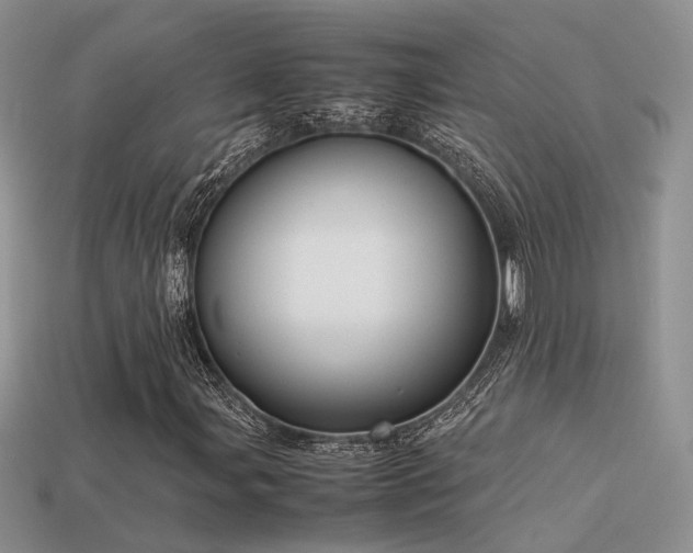 X0000113591107200909181325