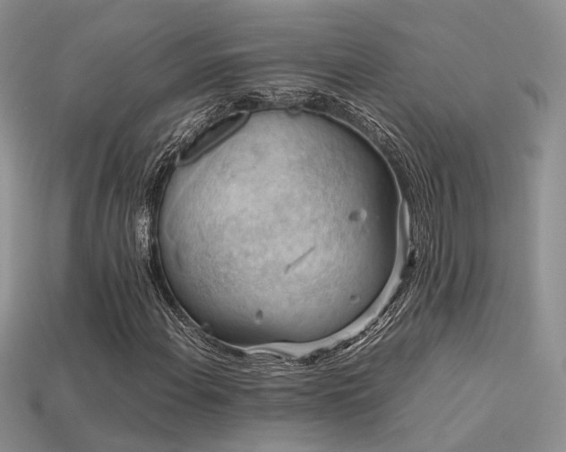 X0000113591108200909181325