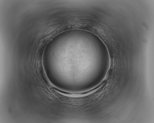 X0000113591109200909181325