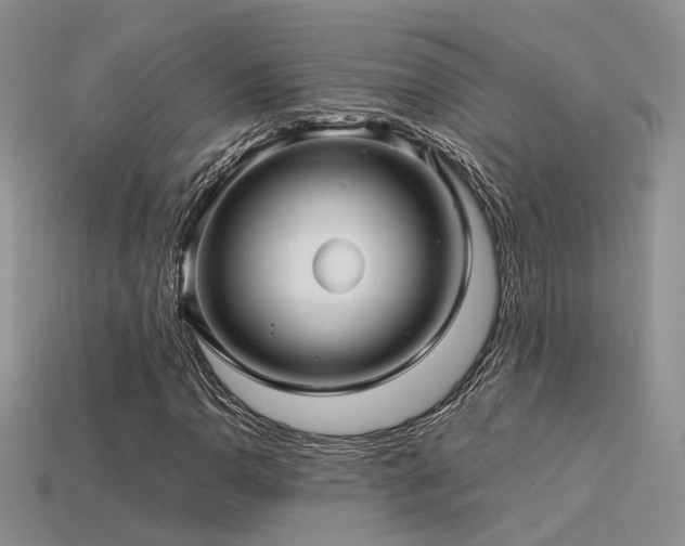 X0000113591110200909181325