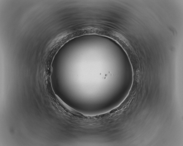 X0000113591111200909181325