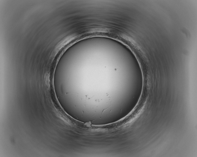 X0000113591113200909181325