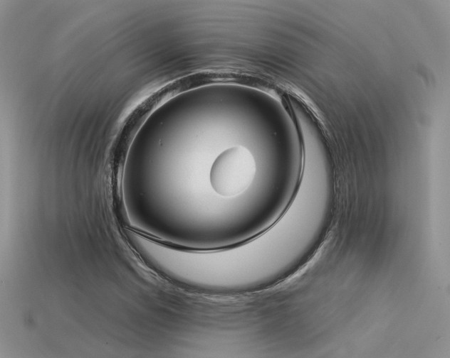 X0000113591114200909181326