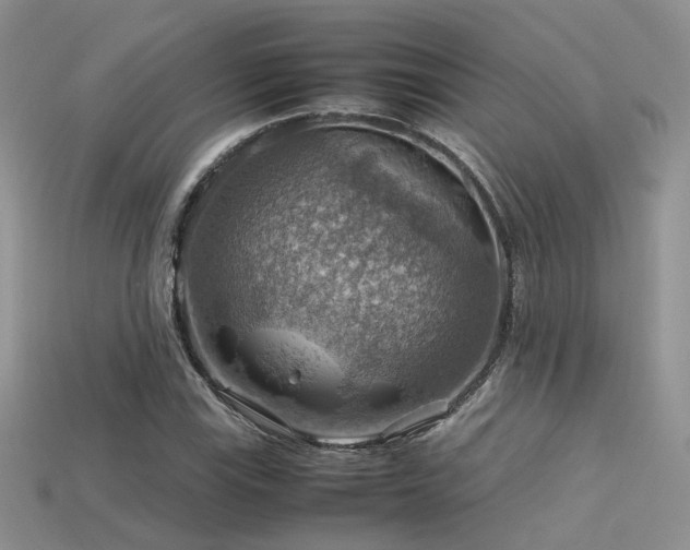 X0000113591115200909181326