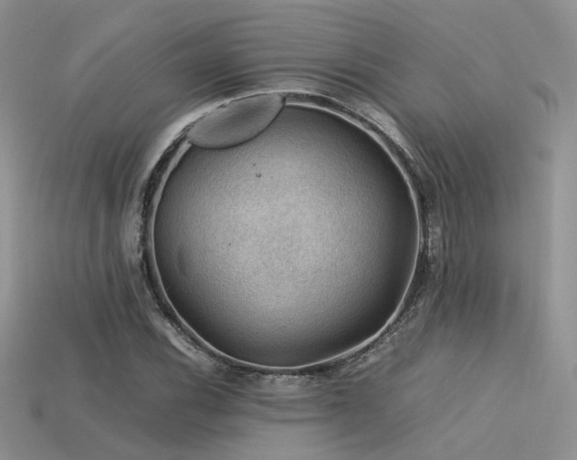 X0000113591116200909181326