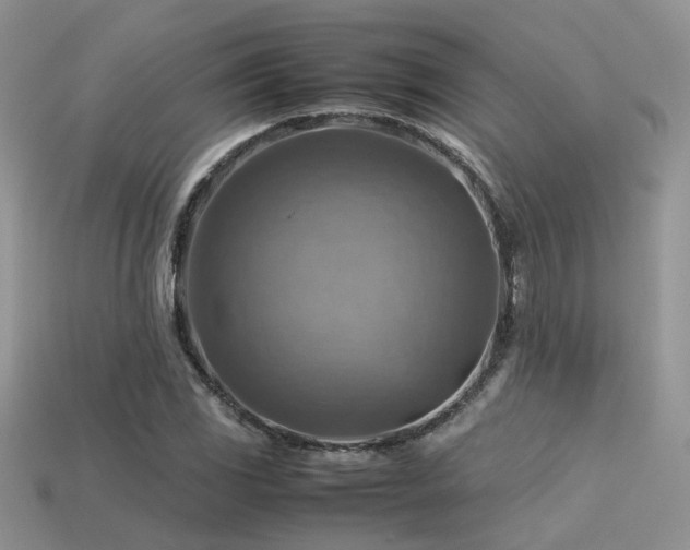 X0000113591117200909181326