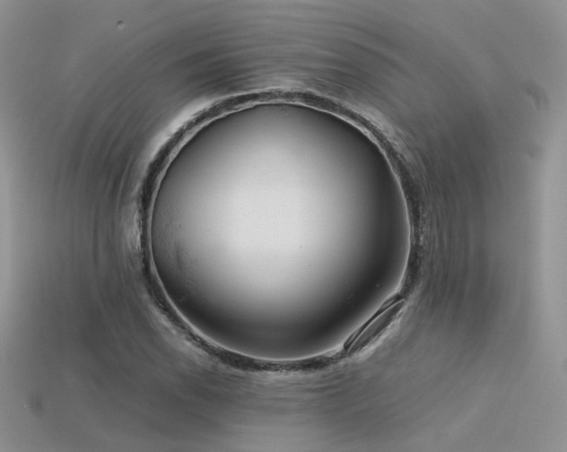 X0000113591118200909181326