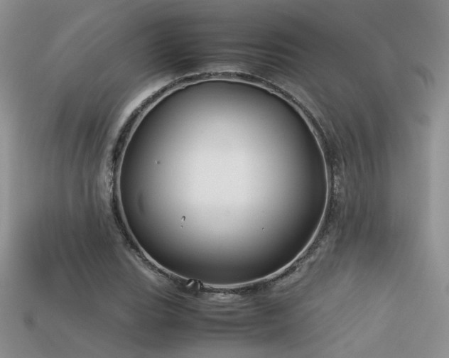 X0000113591119200909181326