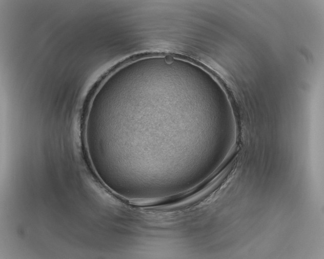 X0000113591120200909181326