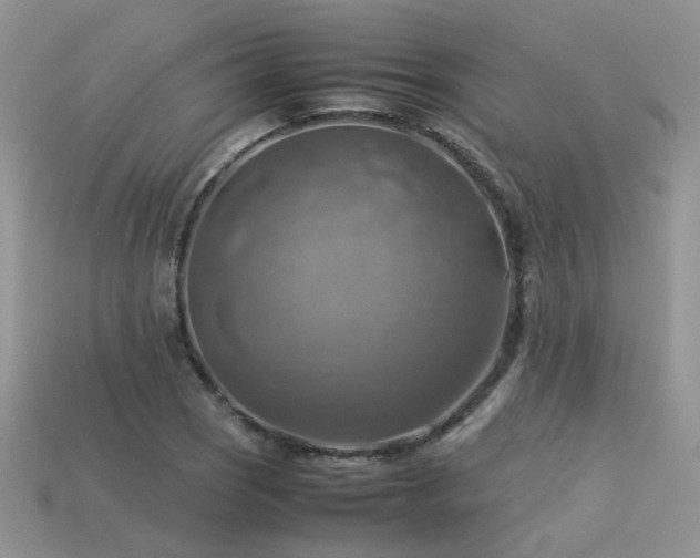 X0000113591121200909181326