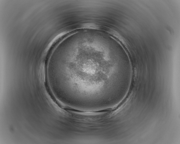 X0000113591123200909181326