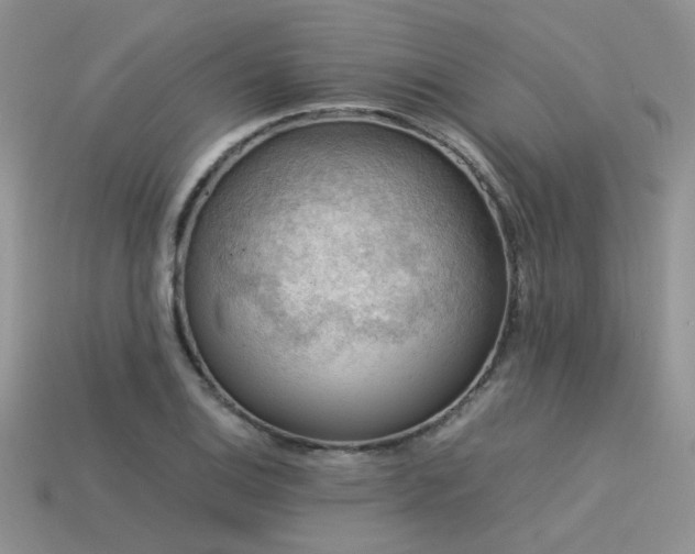 X0000113591124200909181326