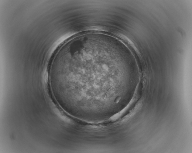 X0000113591125200909181326