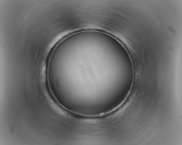 X0000113591126200909181326