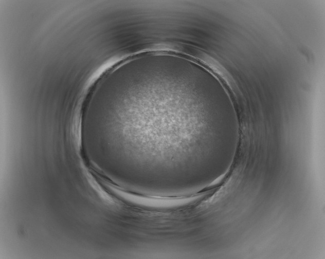 X0000113591127200909181326