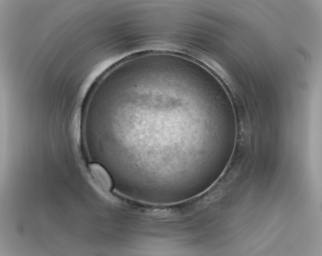 X0000113591128200909181326