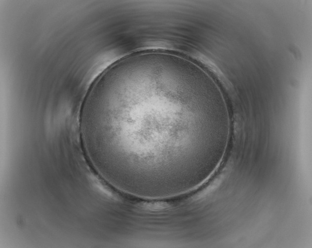 X0000113591129200909181326