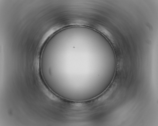 X0000113591130200909181326