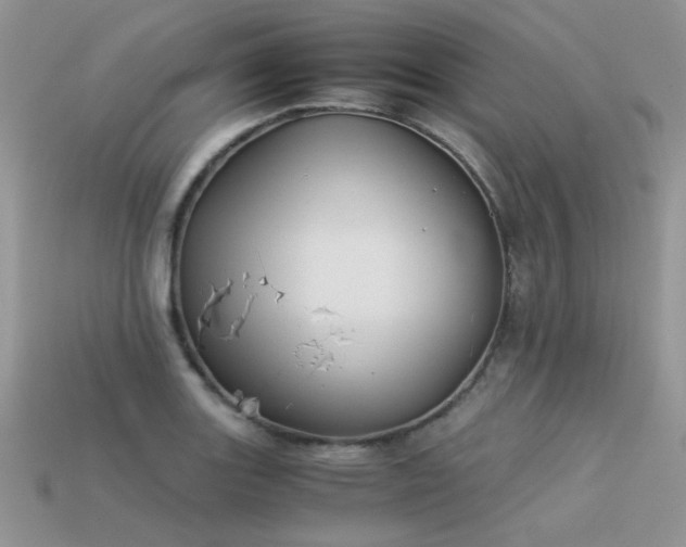 X0000113591131200909181326