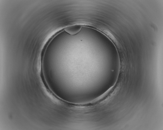 X0000113591132200909181326