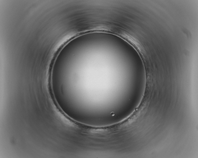 X0000113591135200909181326